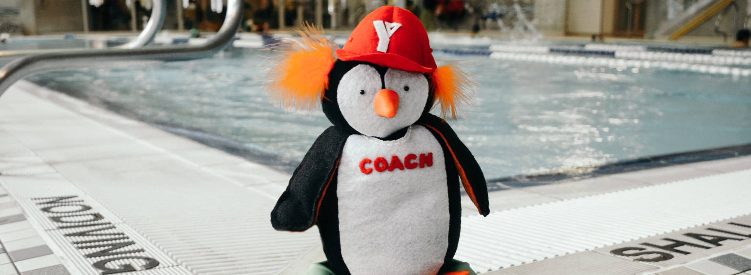 Toy penguin is standing on the corner of a pool wearing a red YMCA hat. The words Coach can be seen on the front of the penguin in red text.